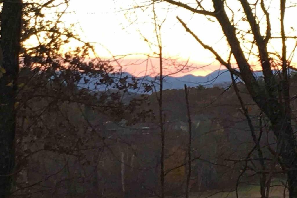 Serenity Views Comfort - Close To City & Parkway! Weaverville エクステリア 写真