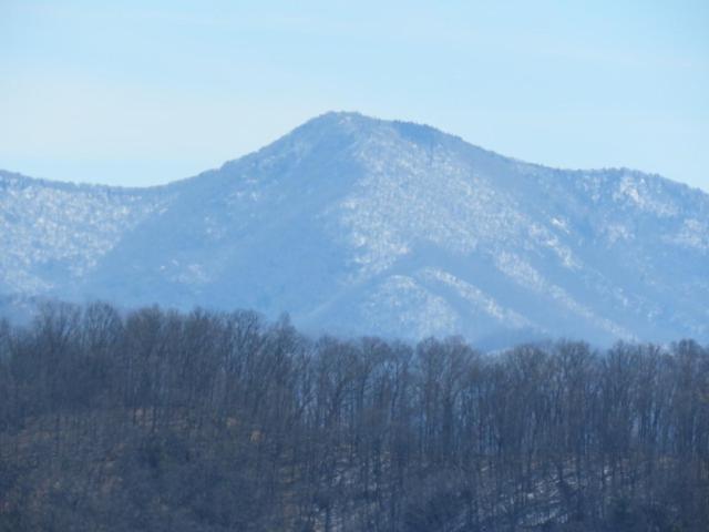 Serenity Views Comfort - Close To City & Parkway! Weaverville エクステリア 写真