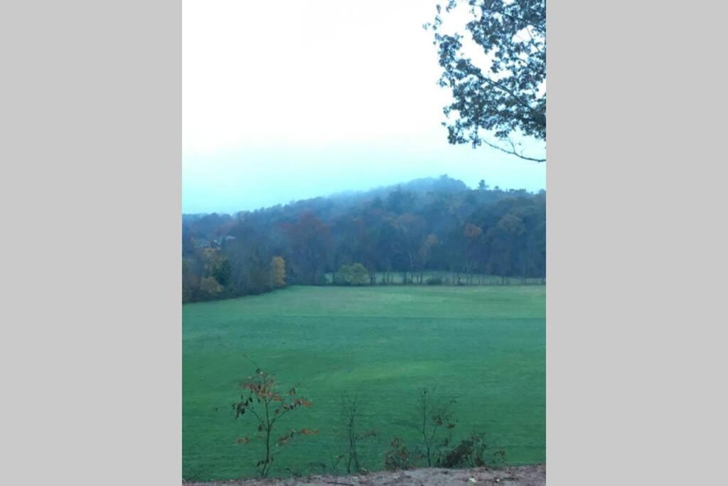 Serenity Views Comfort - Close To City & Parkway! Weaverville エクステリア 写真